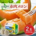 ふるさと納税 旭川市 【先行受付】2026年7月下旬以降 北海道産赤肉メロン完熟糖度16度2玉合計約4.0kg_01988