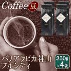 バリアラビカ神山フルシティ 250g×4袋