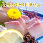 鮮魚活〆 カンパチ お刺身 セット M079-004