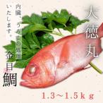 脂 金目鯛 M026-004-01 魚 冷凍