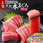天然本まぐろ中トロ