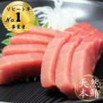 天然本鮪中とろ2柵 赤身2柵 2026年12月30日にお届け