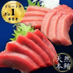 天然本鮪中とろ2柵 赤身2柵