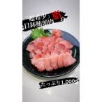 ショッピングふるさと納税 肉 ふるさと納税 三浦市 目鉢鮪頭肉　超希少部位”脂ハチの身”