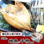 干物 山陰のお魚干物詰め合わせ 地物 天然