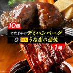 ふるさと納税 上毛町 こだわりのデミハンバーグ10個&うなぎの蒲焼1尾(ビッグサイズ約300g)のセット