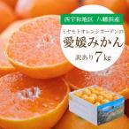 ふるさと納税 八幡浜市 【2025年11月より順次発送】八幡浜産 愛媛みかん7kg【訳あり】【C25-132】
