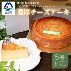 ふるさと納税 枕崎市 【2月より順次発送】Le Petit Boisの濃厚 チーズケーキ 5号 直径15cm B3-1