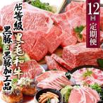 ふるさと納税 枕崎市 お肉の定期便(12回)枕崎お楽しみ便(A5等級黒毛和牛・黒豚・黒豚加工品etc) KK-6003