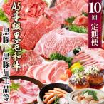 ふるさと納税 枕崎市 定期便(1年で10回配送)お楽しみ便(A5等級黒毛和牛・鹿籠豚(黒豚)・かご豚加工品等HH-6004