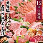 ふるさと納税 枕崎市 定期便(12回配送)お楽しみ便(A5等級黒毛和牛・黒豚・かつお・まぐろ・さつまあげ等)JJ-6002