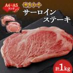 ふるさと納税 大野城市 【A4〜A5】博多和牛サーロインステーキセット　1kg[250g×4枚]
