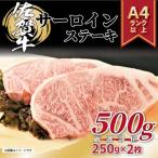 ふるさと納税 伊万里市 艶さし!【A4〜A5】佐賀牛サーロインステーキセット 500g(250g×2枚)(伊万里市)