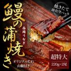 高知ブランド鰻 西岡うなぎ LLL うなぎの蒲焼き2尾セット …
