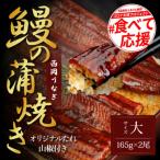 ふるさと納税 芸西村 高知ブランド鰻「西岡うなぎ」〜L〜うなぎの蒲焼き2尾セット(約330g) タレ付【KGP025】