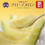 ふるさと納税 掛川市 【訳あり】アローマメロン 1玉入【通年出荷】
