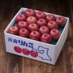 ふるさと納税 青森市 【百年続く青森のりんご農家直送】葉とらずサンふじ　約10kg　贈答用【12月から発送開始】