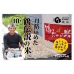 令和8年産 伊勢志摩産 コシヒカリ 10kg