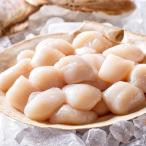 新鮮ホタテ刺身用貝柱 約1.6kg