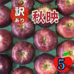 ふるさと納税 飯山市 訳あり 秋映(あきばえ)約5kg