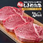 ヒレステーキ 500g