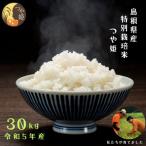 感動米 特別栽培米つや姫 30kg