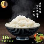 感動米 特別栽培米つや姫 10kg