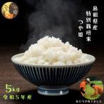 感動米 特別栽培米つや姫 5kg