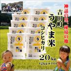 令和7年産 うやま米コシヒカリ 20kg