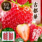 ふるさと納税 生駒市 【2026年2月〜3月順次発送】高級いちご「古都華」3L〜Mサイズ2パック 奈良県生駒市産 農家直送