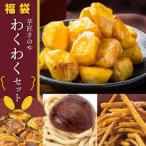 ふるさと納税 泉佐野市 芋匠さのや 福袋 わくわく スイーツ 4種セット 099H2546