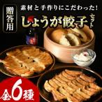 しょうが餃子詰合せ 用セット