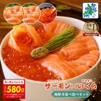 ふるさと納税 泉佐野市 アトランティック サーモン 250g×2P & いくら醤油漬け 80g 099H3931