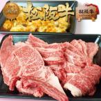 松阪牛 BBQ 黄金 セット 2kg