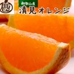 厳選 清見1kg+250g 傷み補償分