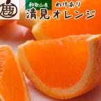 清見2.5kg+250g 傷み補償分