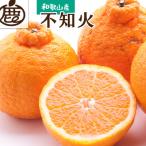 厳選 はるみ1kg+250g 傷み補償分