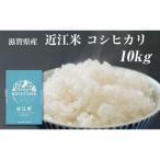 コシヒカリ お米 10kg