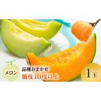 ふるさと納税 鰺ヶ沢町 メロン 先行 予約 青森 減農薬栽培メロン 1玉 糖度16度以上保証 [53841320]
