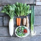 まにわの新鮮野菜セット 7~8品