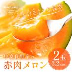 ふるさと納税 中富良野町 AB-003【2026年発送】中富良野　赤肉メロン2玉(計3.2kg以上)