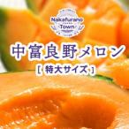ふるさと納税 中富良野町 AX-001【2026年発送】遠藤ファームの中富良野メロン2玉(計4kg以上)