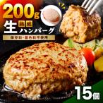 生熟成ハンバーグ200g×15個