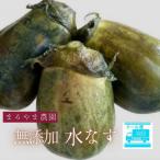 水なす糠漬け 10個
