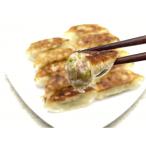 ふるさと納税 加須市 町中華のひとくち野菜餃子 100個