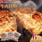 ふるさと納税 堺市 堺の技が光る無添加の牛肉100%ハンバーグ　6食セット