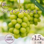 ショッピングふるさと納税 シャインマスカット ふるさと納税 高畠町 【期間限定発送】訳あり シャインマスカット 2〜5房 約 1.5kg◆家庭用◆甘い