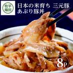 SA1340 三元豚 あぶり豚丼セット 130g×8パック