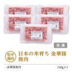 SA2002 日本の米育ち 金華豚 挽肉 計1.2kg