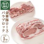 SC0505 日本の米育ち 金華豚 ブロック肉2種セット 計1kg
